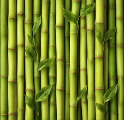 Obraz premium Close-up View of Fresh Green Bamboo Shoots