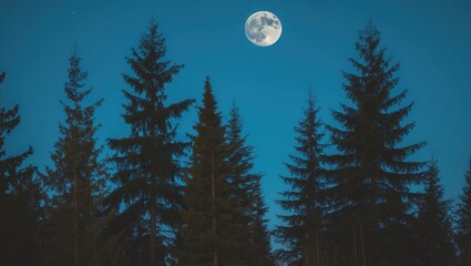 Moon against a blue sky above the trees