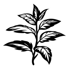 Monochrome botanical illustration of a leafy plant, a minimalist artistic expression