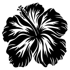 Black and white hibiscus flower illustration with a stylized design pattern