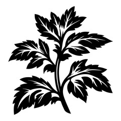 Detailed monochrome vector illustration of an ornate leafy plant on white background