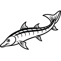 Black and White Sturgeon Fish Line Art – Vintage Aquatic Illustration
