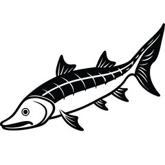 Black and White Sturgeon Fish Line Art – Vintage Aquatic Illustration