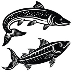 Vintage Black and White Fish Illustrations – Pike and Barracuda Art