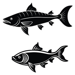 Vintage Black and White Fish Illustrations – Pike and Barracuda Art
