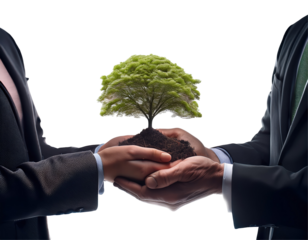 Two business professionals exchanging a small tree symbolizing growth and collaboration in a corporate setting. on transparent background