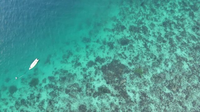 Top-down aerial footage of a green sea turtle swimming off the shore of Gilli Islands, Indonesia