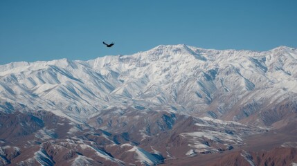 Majestic snow-covered mountains under clear blue sky with soaring bird in the foreground showcasing breathtaking natural beauty