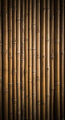 Fototapeta premium Bamboo Stalks Forming an Organic Textured Pattern Background