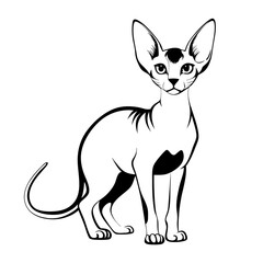 Fototapeta premium black outline of Devon Rex cat standing confidently in playful posture