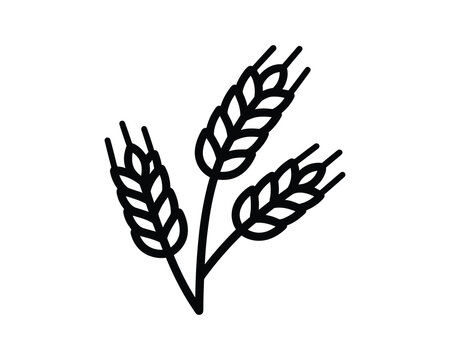 Minimalist wheat sheaves outline vector drawing simple illustration