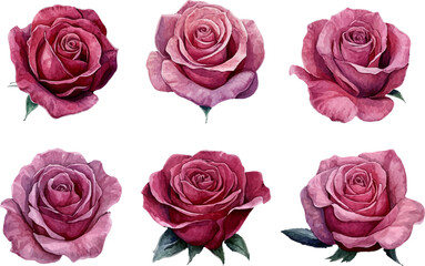 Fototapeta premium bouquet of roses