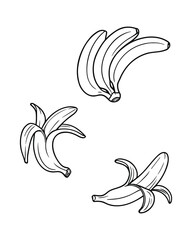 Collection of banana fruit line drawings in various stages art
