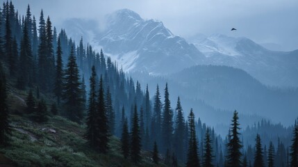 Fototapeta premium Misty Mountain Landscape with Pine Trees and Snow-Capped Peaks Under Cloudy Sky