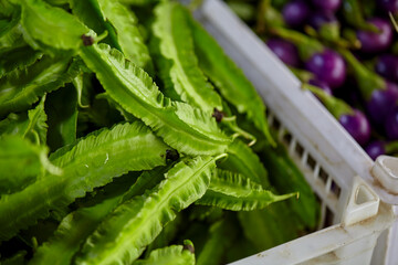 Naklejka na ściany i meble Close-up view of fresh Winged bean in basket
