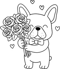 Cute French bulldog holding bouquet of roses, expressing love and joy