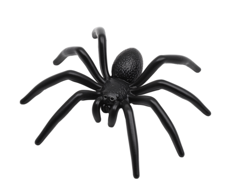 a black spider toy