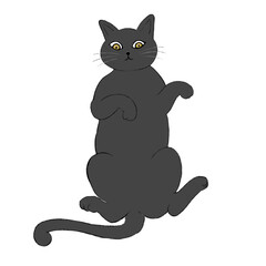 Illustration of a Russian Blue cat lying on its back, illustration of a gray cat