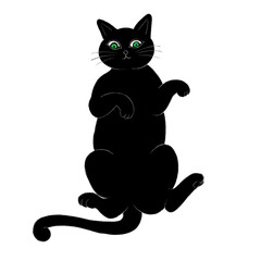 Obraz premium a black cat lying on its back with its belly up, an illustration of a black cat facing upward, an illustration