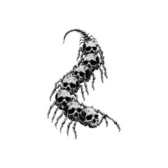Skulls Centipede hand drawing vector isolated on background.