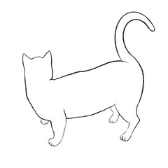 Illustration of a white cat from behind, illustration of a white cat's back.