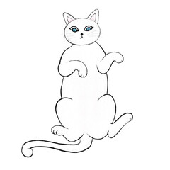 white cat lying on its back, cute white cat illustration