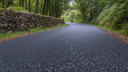 Winding asphalt road through green forest landscape