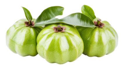 Fresh Garcinia Atroviridis Fruits with Green Leaves Isolated on Transparent Background