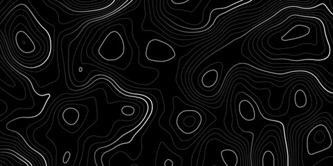 Mountain topographic terrain map background with white lines texture. Luxury white abstract line art background vector.  Design illustration for wall art, fabric, packaging, web, banner, app, wallpape