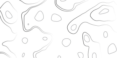 Abstract white topographic map background with lines, White wave paper curved reliefs abstract background,  The topographic map contour in lines isolated,  Background of the topography map.