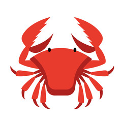 Red Crab Illustration