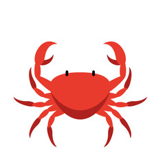 Red Crab Illustration
