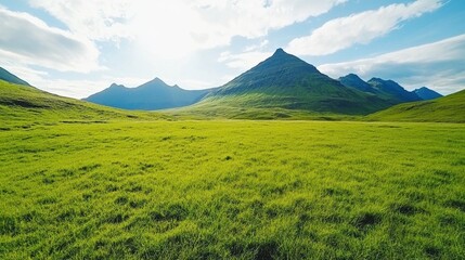Lush Green Valley with Majestic Mountains Under Bright Sky
