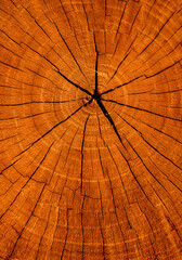 Detailed Close Up Of An Orange Brown Wood Texture Background