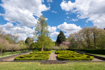 Spring blossom and tress