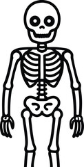Simple Spooky Halloween Skeleton Line Art Illustration