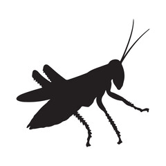 Colorful Abstract Design with Geometric Shapes and Lines