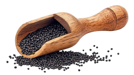 Black mustard seeds in wooden scoop, close-up. Food ingredient