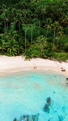Gentle waves lap against the soft sand as two figures stroll along a tranquil beach. Surrounded by palm trees and vibrant foliage, this peaceful retreat is perfect for relaxation in Koh Kood Thailand