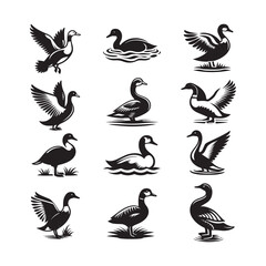 Obraz premium Black and white silhouette of Ducks vector illustration isolated on a white background
