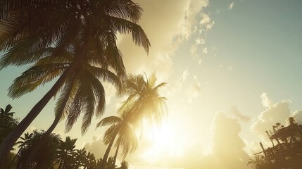 Tropical Sunset Palm Trees Silhouetted Against a Golden Sky