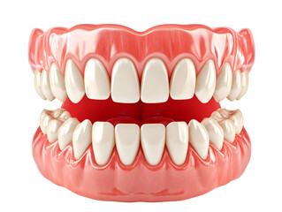 Obraz premium a close up of a teeth