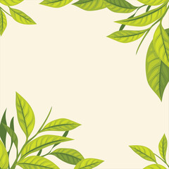 Green tea leaf border frame