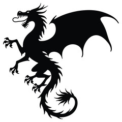 Fototapeta premium black and white dragon