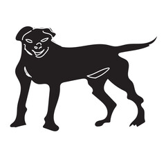 A black dog with a smile on its face