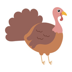 Turkey bird with brown feathers displaying a majestic sight, perfect for Thanksgiving Themed designs and nature related projects in need of a stunning bird image