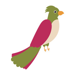 Colorful bird with vibrant green and pink plumage. Perfect for nature themed designs, birdwatching articles, wildlife conservation campaigns, and tropical themed marketing materials