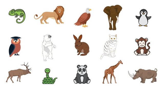 animations of various mammals and birds, with a white background for children's learning media
