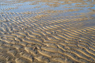 Rippel im Watt bei Ebbe, Wellenartige Struktur, Nationalpark Niedersächsisches Wattenmeer,...