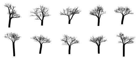 Tree Section Without Leaves Silhouette Black Filled - Vector Illustration Icon.